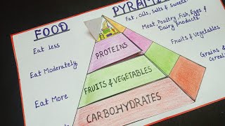 tlmfood pyramid drawing food pyramid food pyramid tlm science tlmtlmworld [upl. by Annawik]