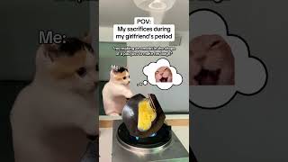 CAT MEMES 🐱My sacrifices during my girlfriends period catmemes relatable relationship [upl. by Eissehc]