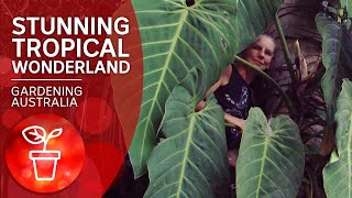 Tropical plant collectors show how to breed rare aroids  Gardening Australia [upl. by Elda424]