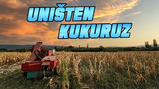 BERBA KUKURUZA TOTALNA ŠTETA [upl. by Annahsat151]