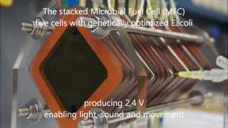 Ecolectricity  Enabling sound light and movement with an E coli Microbial Fuel Cell [upl. by Nylarej]