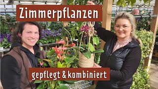 Zimmerpflanzen im Sommer nach draußen stellen  MDR Garten [upl. by Esertal]