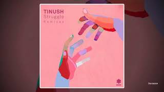 Tinush  Struggle Franky Rizardo Acid Mix [upl. by Aeikan577]