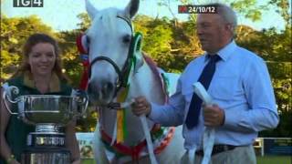 The 2012 Clifden Connemara Pony Show Part Two [upl. by Afaw]