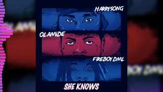 Harrysong Ft Olamide amp Fireboy DML  She Knows [upl. by Jervis]