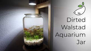 How To  Dirted Walstad Aquarium Jar [upl. by Ylicic]