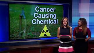 How the industrial chemical TCE is affecting the community  Cronkite News [upl. by Teryl]