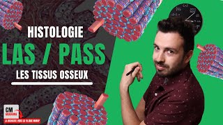 Le TISSU OSSEUX  🦴 Ostéoblastes Ostéoclastes remodelage osseux Rien de bien compliqué [upl. by Iuq98]