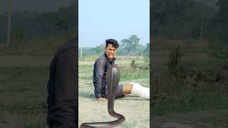 सांप का दर nagin funnyvideo shorts [upl. by Ardnaz903]