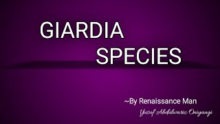 Giardia lambia Biology of Giardia intestinalis [upl. by Zilber634]