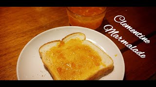 How to Make Clementine Marmalade [upl. by Nalehp906]