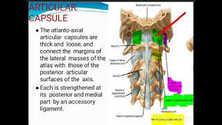 Atlanto Occipital joint [upl. by Caroline]