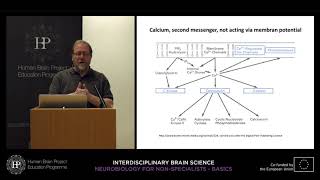 Lecture 2 Christoph Schwarzer  Intracellular signal transduction [upl. by Eiramasil166]