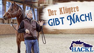 Nachgiebigkeit beim Pferd  So gehts  Bernd Hackl erklärt 🐴 [upl. by Atirac]