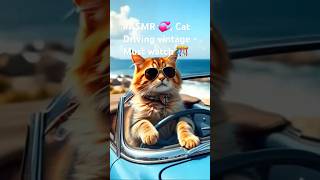 Funny Cat  💞asmr catlover pets cutecat petlovers animals funny viralshorts cat🦊 pawsome🎊 [upl. by Levi]