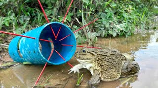 Survival skills simple and useful with PVC and Wood Frog traps survivalbushcraftcampingoutdoors [upl. by Chabot]