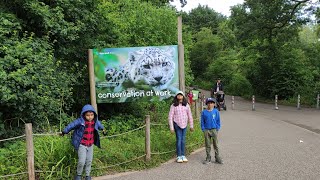 Marwell Zoo with my cousins [upl. by Alegnaed351]