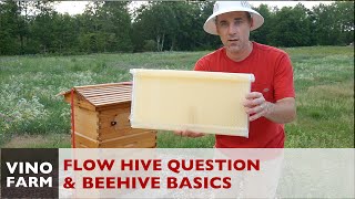 Flow Hive Reality  Where are the Flow Frames  Beekeeping 101 [upl. by Aisak]