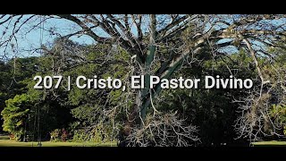 Antiguo Himnario Adventista 207  Cristo El Pastor Divino [upl. by Odraccir]