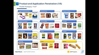 POLYPLEX CORPORATION LTD Investor Presentation for Q2 FY March 2025 [upl. by Winnah]