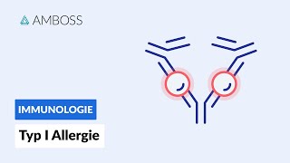 Soforttypreaktion Typ I Allergie  Biochemie  AMBOSS Video [upl. by Lucille]