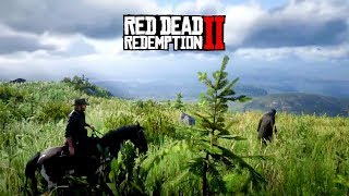 Arthur habla sobre su hijo  Red Dead Redemption 2 [upl. by Sillyrama]