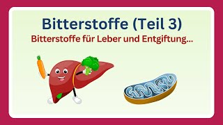 Bitterstoffe  Wirkung auf Leber Entgiftung und braunesFettgewebe Anwendung im Alltag 33 [upl. by Bendicty225]