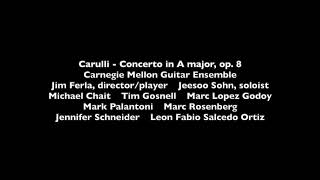 Carulli Guitar Concerto [upl. by Illona753]