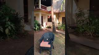 sundayfunday cricket goa sundayvlog minivlogs dogshorts airbnb battywaddo cavelossim [upl. by Carrnan]