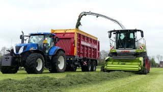 Gras oogst 2021 met de nieuwe Claas Jaguar 950 Loonb Sportel Midwolda [upl. by Walli911]