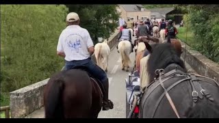 VIDÉO DeuxSèvres  plus de 300 chevaux déambulent pour Équiliberté [upl. by Line]