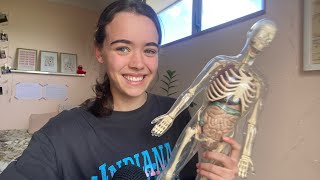 ASMR WITH A SKELETON real [upl. by Odin]