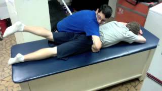 Prone Active Straight Leg Raise [upl. by Luehrmann]