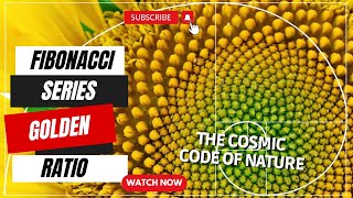 Fibonacci Sequence Golden Ratio and the Cosmic Code of Nature  Learn And Explore Facts fibonacci [upl. by Eiruam]