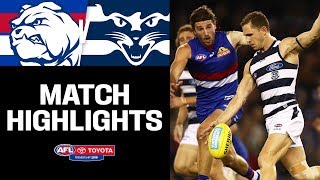 Western Bulldogs v Geelong Highlights  Round 16 2019  AFL [upl. by Airdnax271]