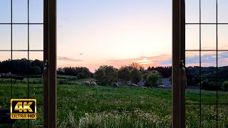 4K Countryside Evening Ambience Window view with Nature Sounds  Relaxing Calming Sunset [upl. by Adiell]