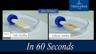 In 60 Seconds Antibac  Villeroy amp Boch [upl. by Walsh]