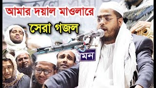 আমার দয়াল মাওলারে হাফিজুর রহমান সিদ্দিকীর সেরা গজল। Hafizur Rahman Siddiki New Gojol 2019 [upl. by Enobe]