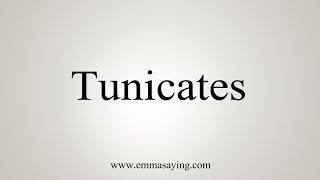 How To Say Tunicates [upl. by Anaul]