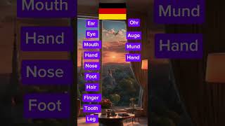 Translate these words In German germany germanlanguage quiz shorts [upl. by Tserrof]