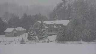 Ambiance de tempête de neige avec hurlements glaciaux  Bruit de neige pour dormir et se détendre [upl. by Leelahk]