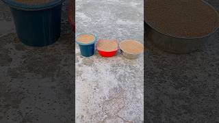 OMG Very Satisfying Sand Star Cutting Respect Drop youtubeshorts satisfying shorts [upl. by Mylo959]