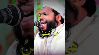 Discover Qari Saeed ul Islams Beautiful Quran Recitation tilawat [upl. by Pavlish]