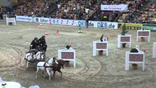 CSI Schwerin Sonntag  F2 28 Prüfung Pony  Vierspänner  Jan de Boer [upl. by Cindee985]