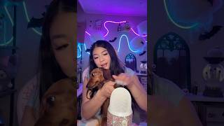 Real or Fake🐶 asmr shorts [upl. by Shayna]