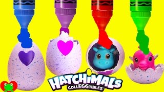 Hatchimals Colleggtibles Surprise Eggs [upl. by Dragelin]