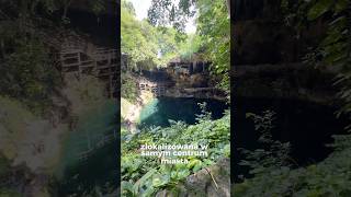 Cenote Jukatan Mexico 🇲🇽 cenotes meksyk podróże mexico travel latinoamerica vlogvideo [upl. by Selij]