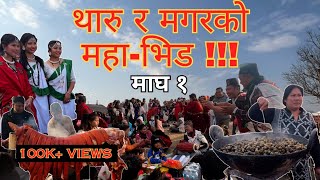 Maghe Sankranti ││ Tharu Festival ││Magar Festival││Pork Heaven ││Tudhikhel ││Kathmandu ││Nepal││ [upl. by Ahsuatal]