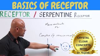 Basics of Receptor  Pharmacology 🩺 [upl. by Asilet]