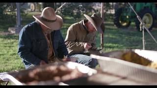 Camp Brisket at Texas AampM [upl. by Sydney]